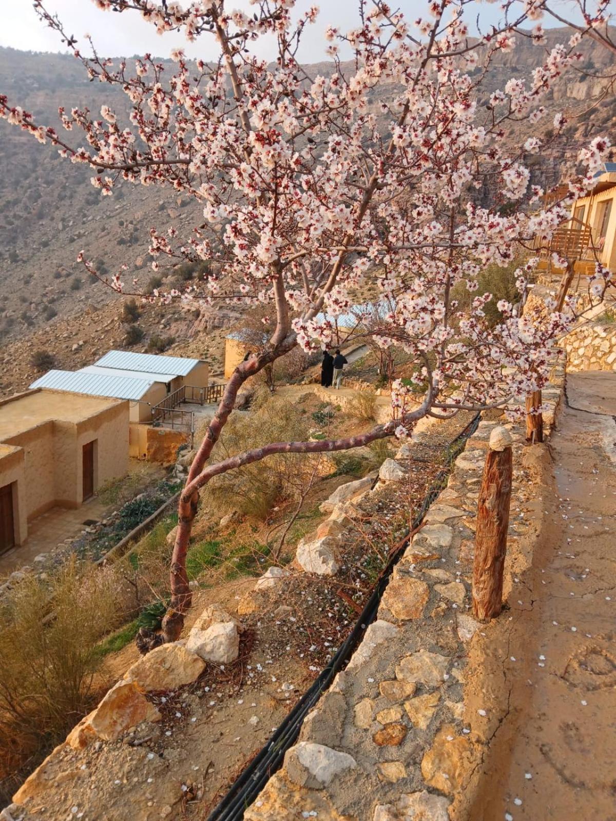 Dana Village Camp-Wadi Dana Eco Camp Exterior photo